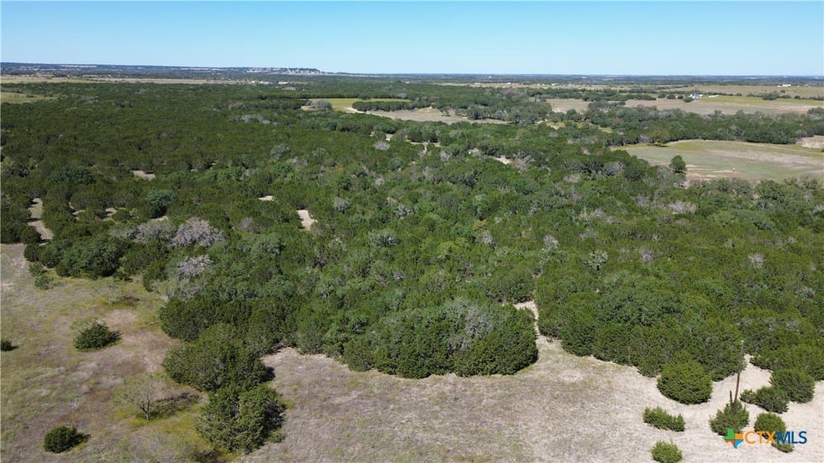 312 acres in Coryell County - photo 3