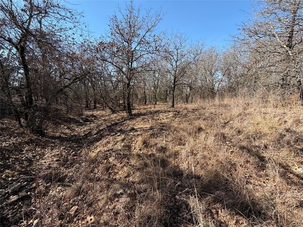 40.85 acres in Montague County - photo 20