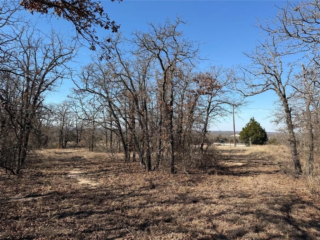 40.85 acres in Montague County - photo 17