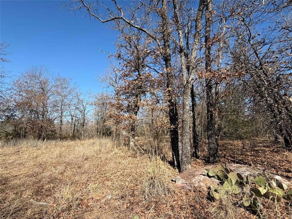 40.85 acres in Montague County - photo 14