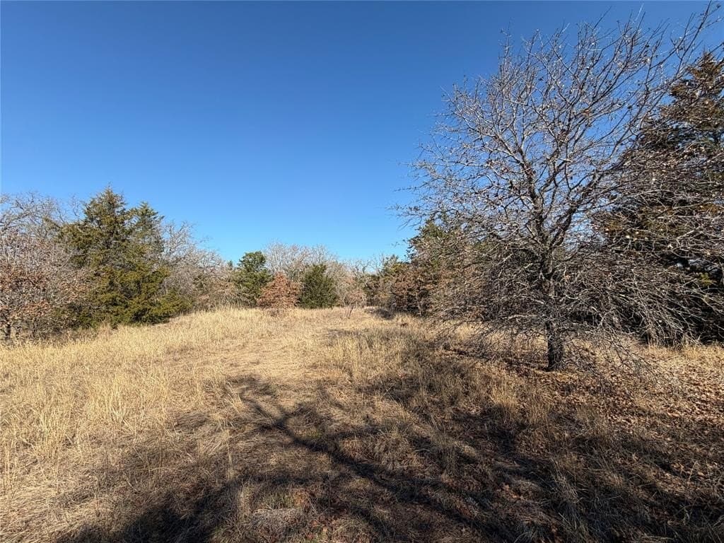 40.85 acres in Montague County - photo 11