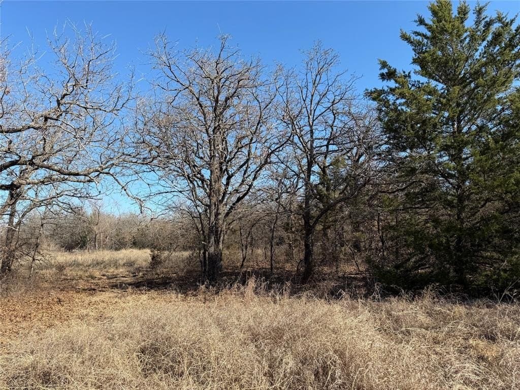 40.85 acres in Montague County - photo 2