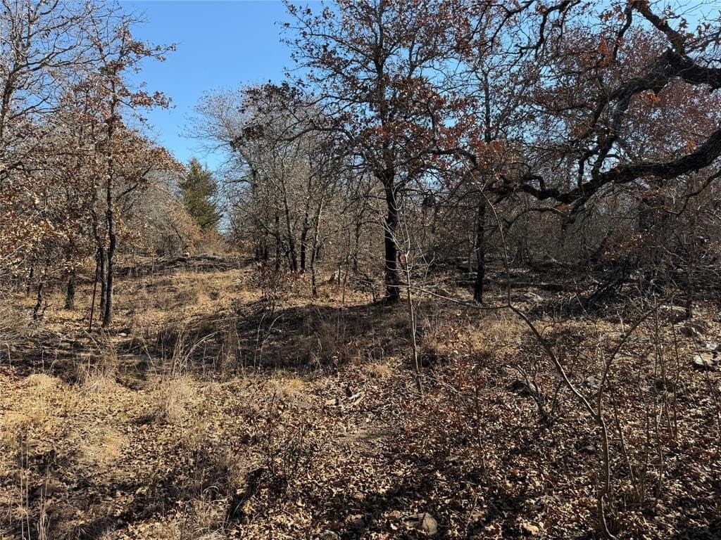 40.85 acres in Montague County - photo 22