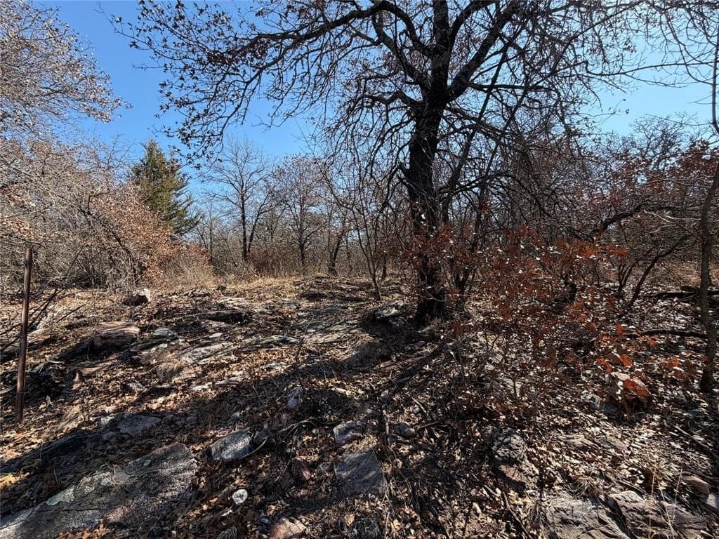 40.85 acres in Montague County - photo 23