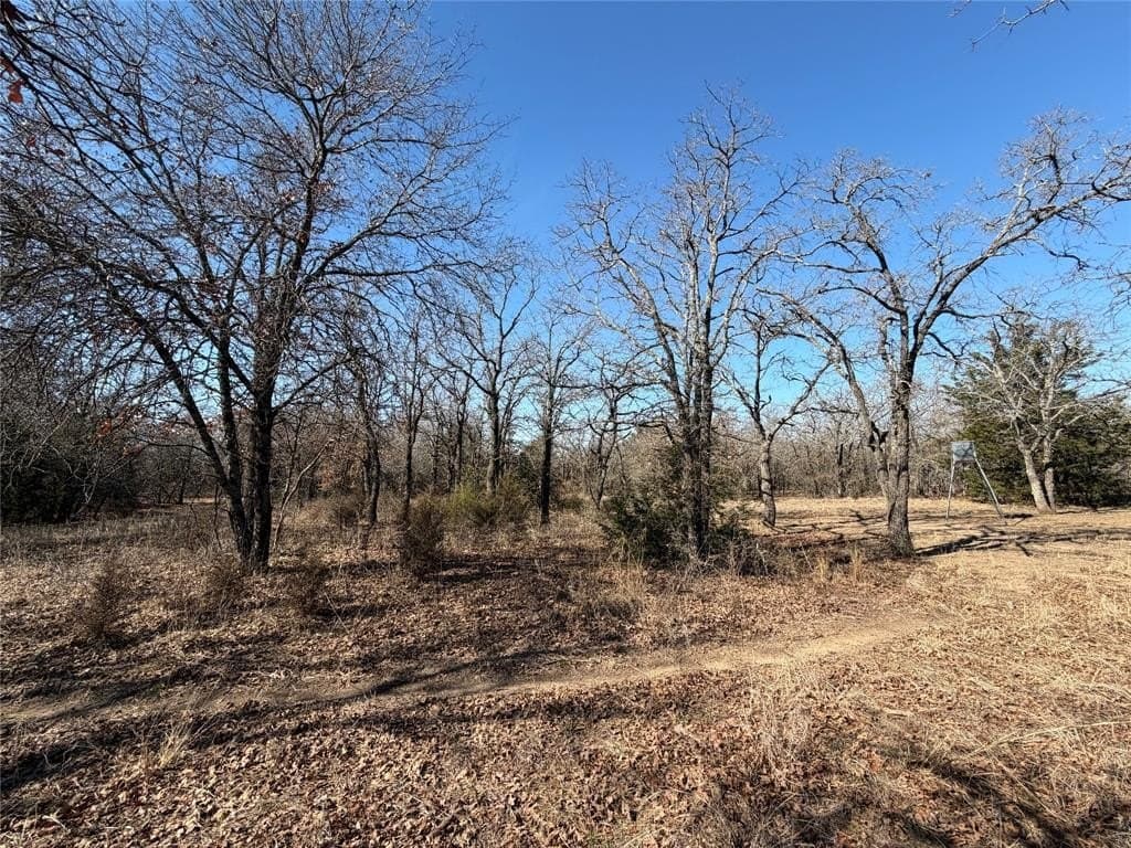 40.85 acres in Montague County - photo 15