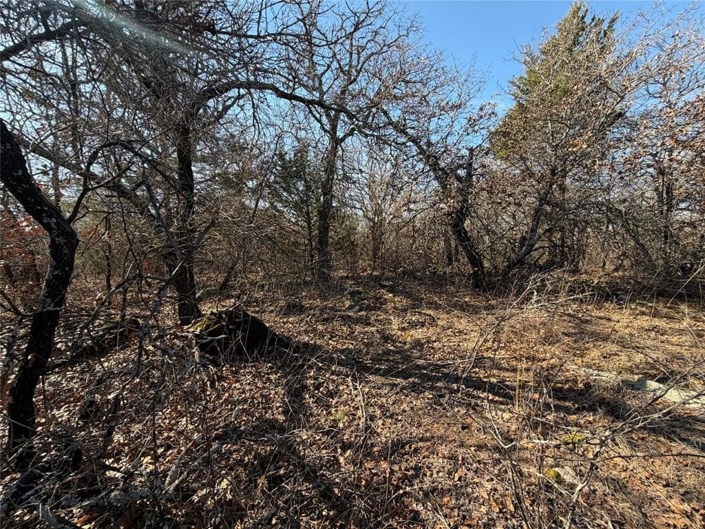 40.85 acres in Montague County - photo 5