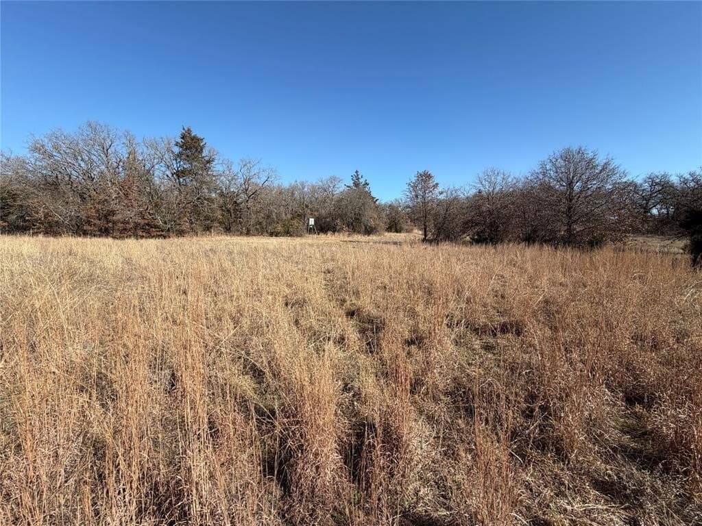40.85 acres in Montague County - photo 8