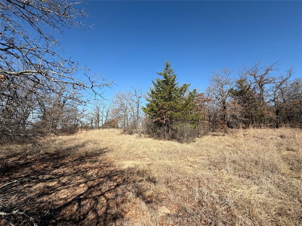 40.85 acres in Montague County - photo 19