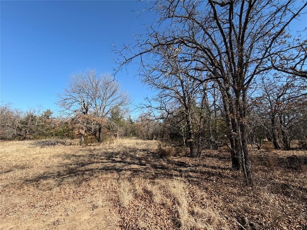 40.85 acres in Montague County - photo 16