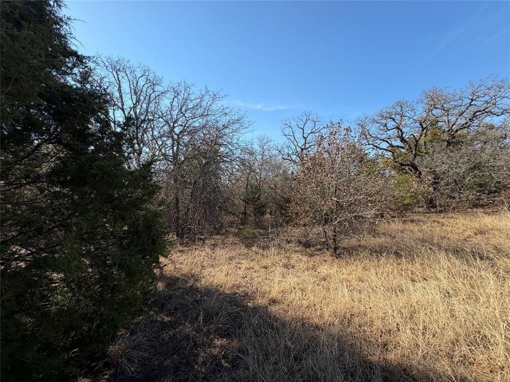 40.85 acres in Montague County - photo 12