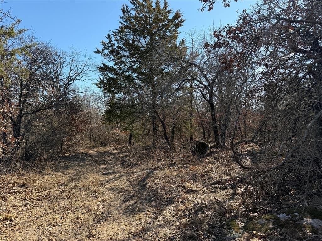 40.85 acres in Montague County - photo 4