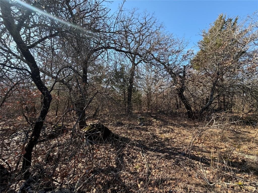 40.85 acres in Montague County - photo 6