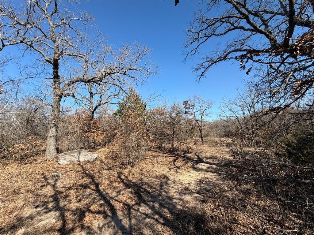 40.85 acres in Montague County - photo 7