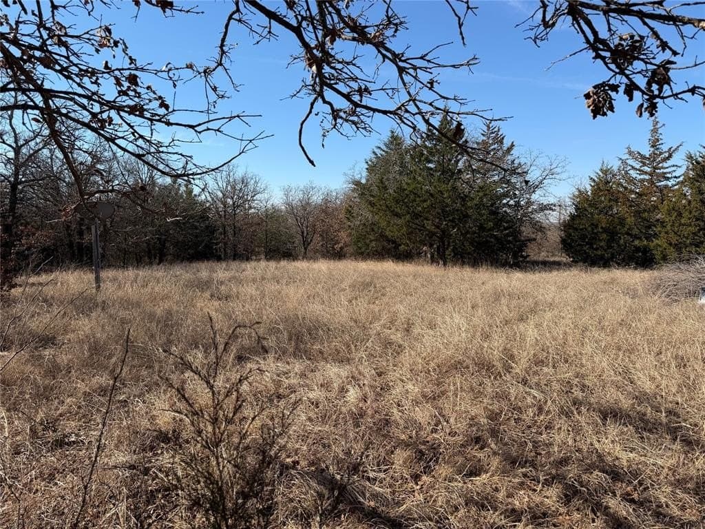 40.85 acres in Montague County - photo 3