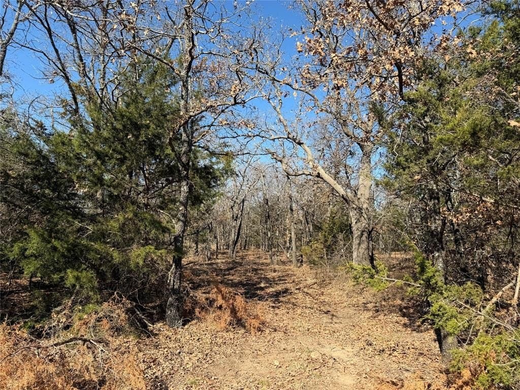 40.85 acres in Montague County - photo 13