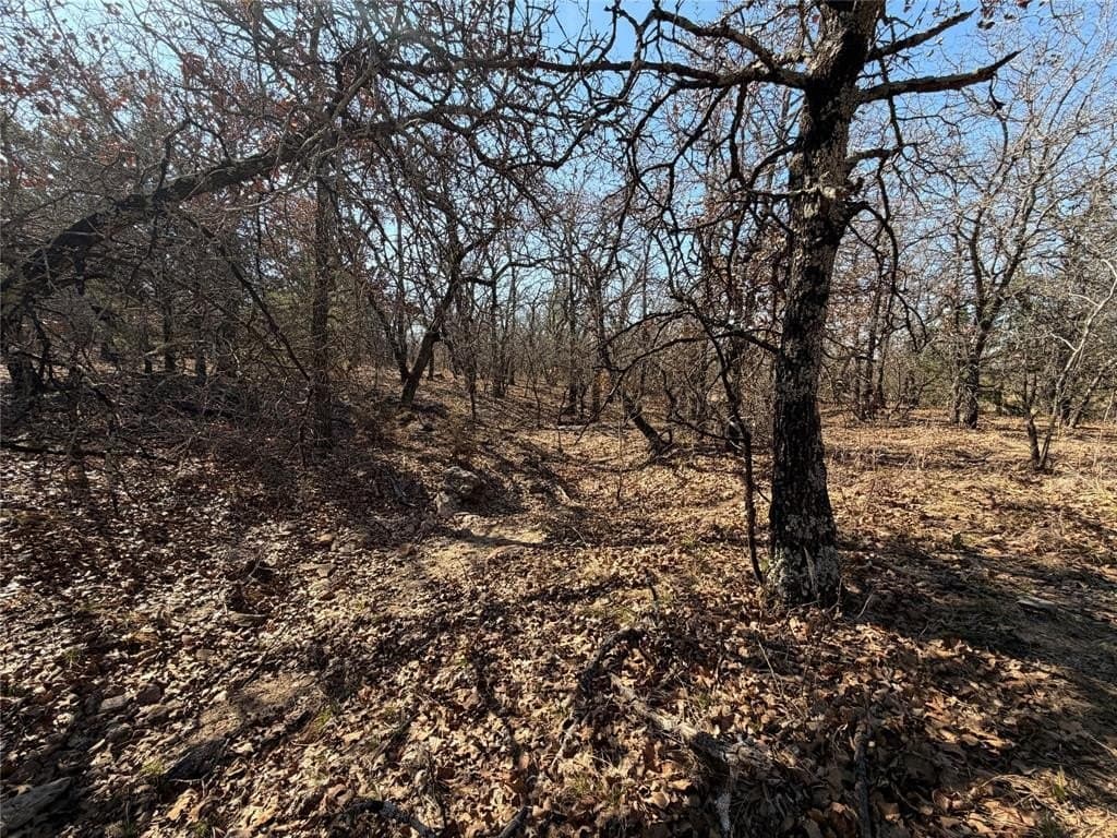 40.85 acres in Montague County - photo 21