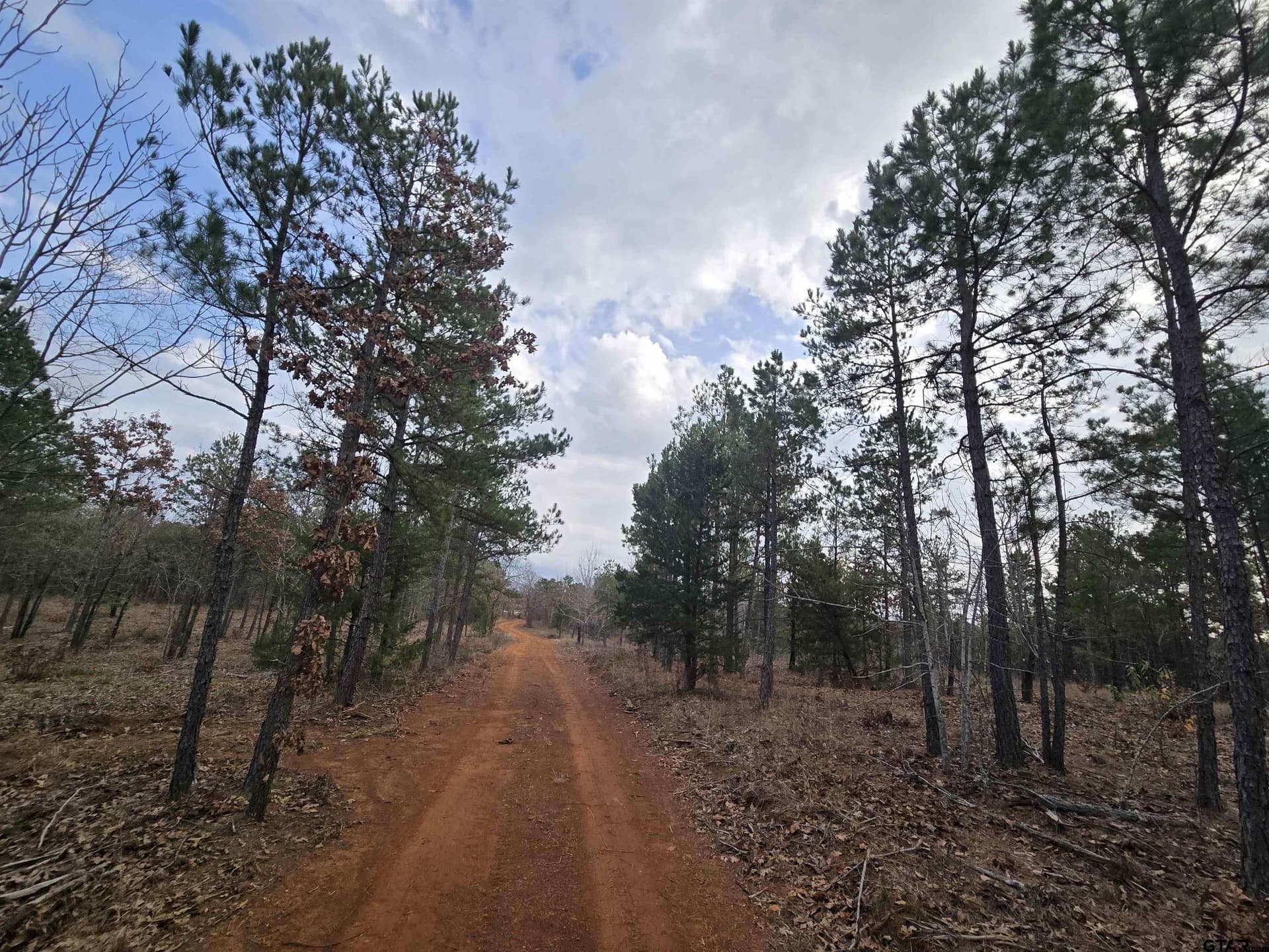 15 acres in Smith County - photo 2