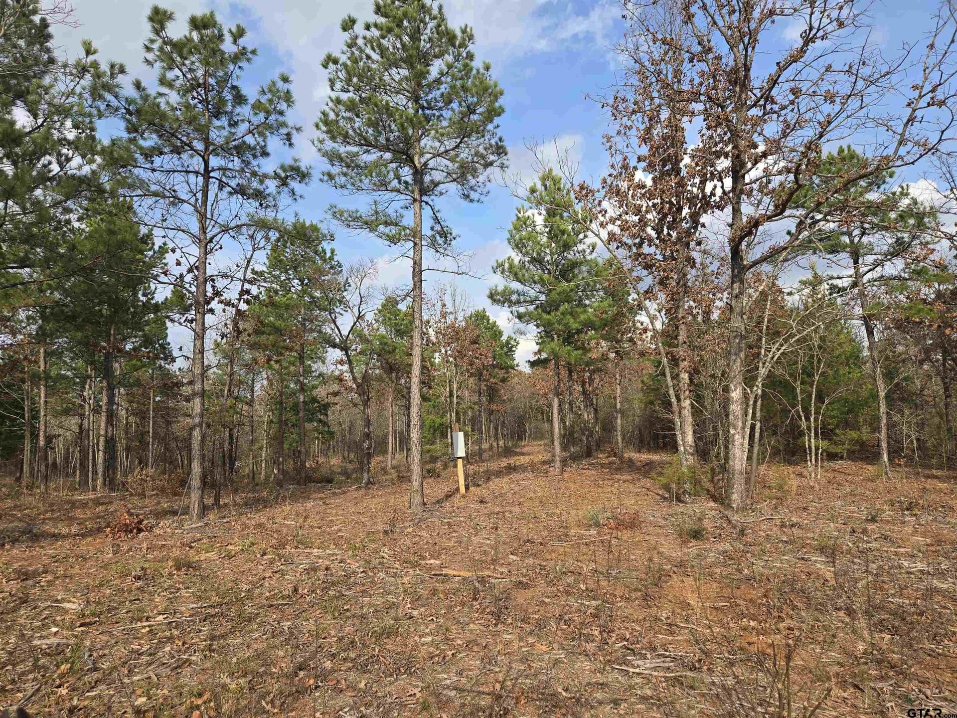 15 acres in Smith County - photo 4