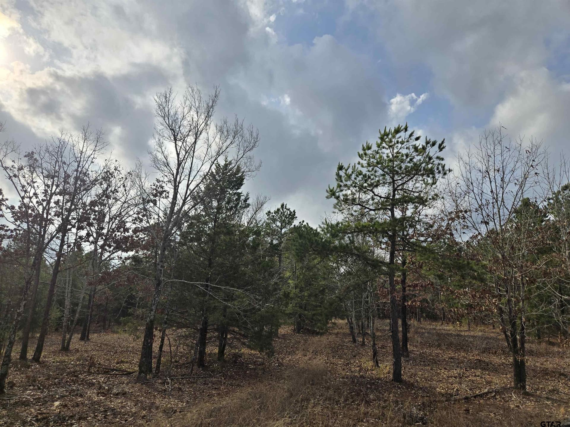 15 acres in Smith County - photo 5