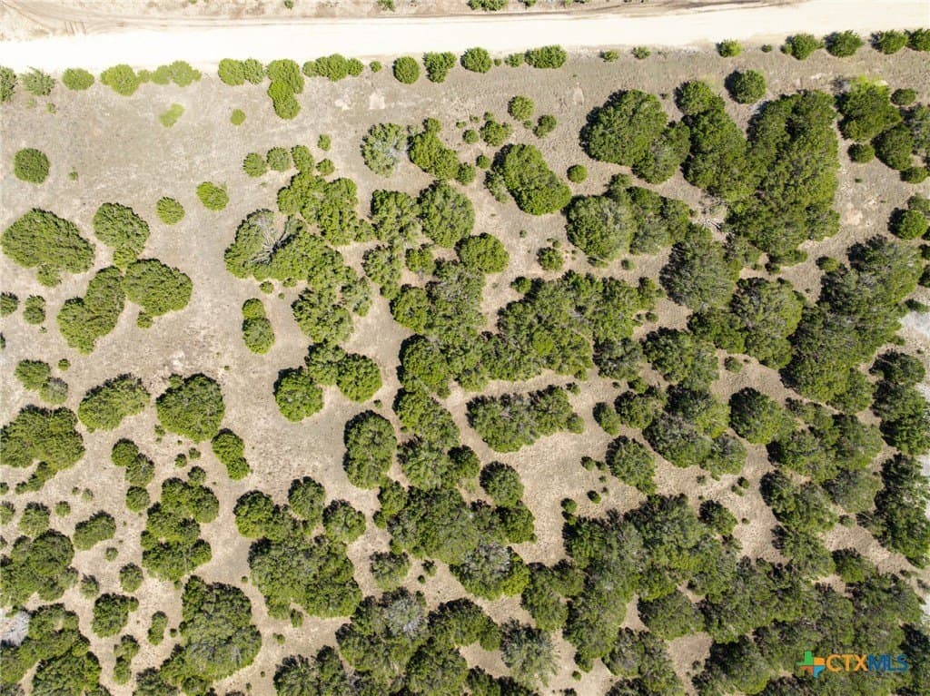 10.1 acres in Hamilton County - photo 10