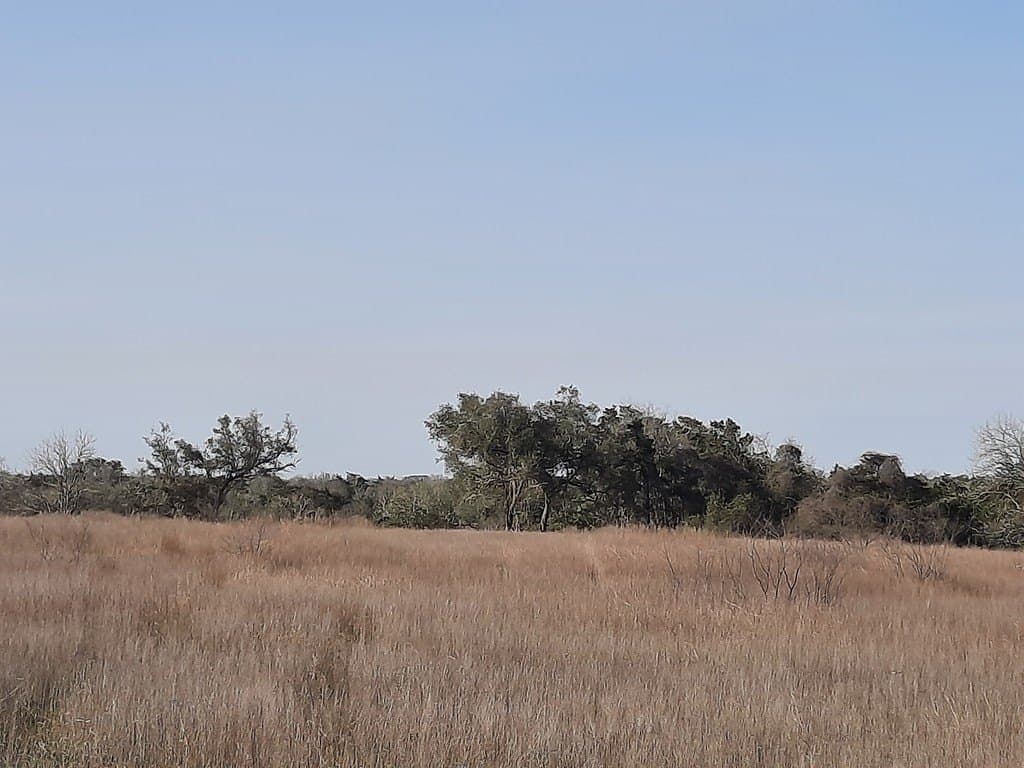 12.63 acres in Lavaca County - photo 2