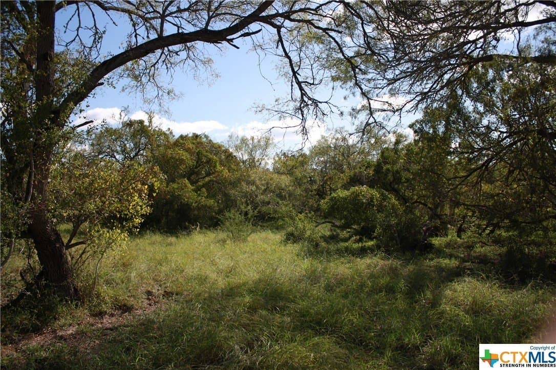 21 acres in San Patricio County - photo 10