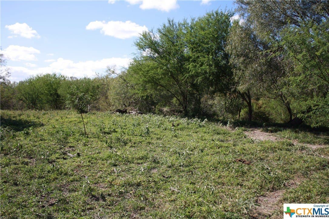 21 acres in San Patricio County - photo 11