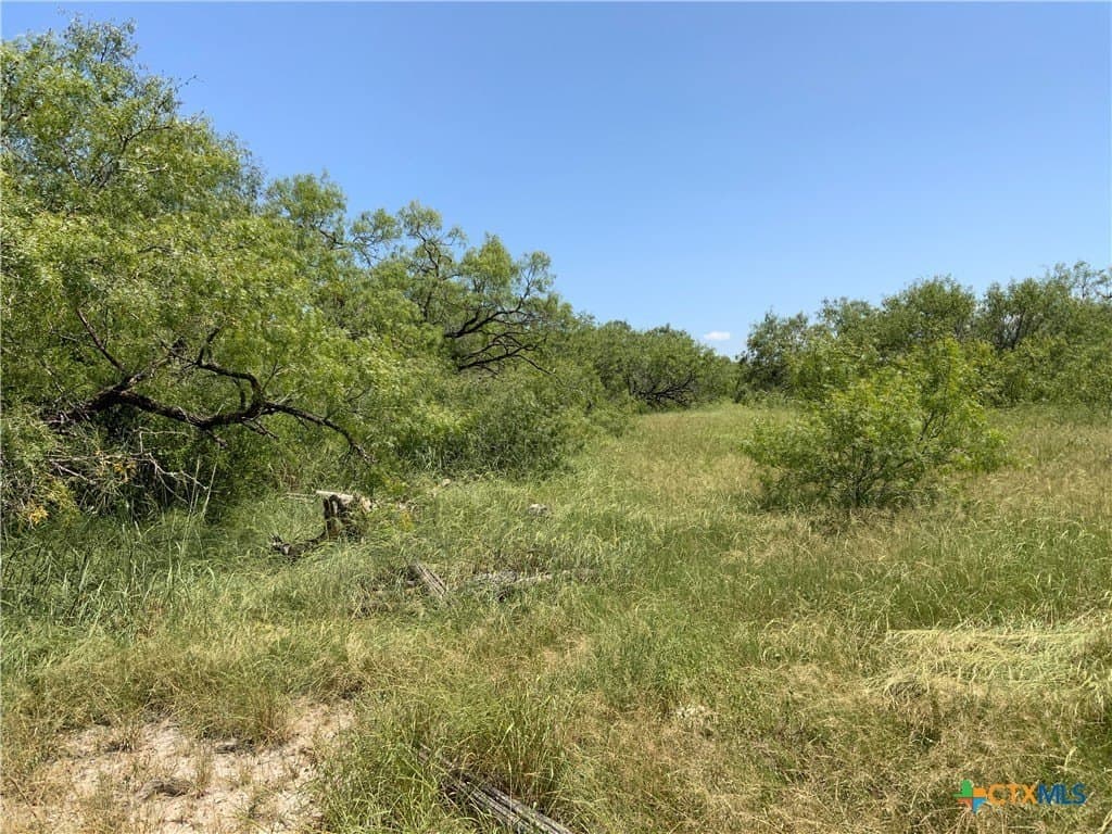 21 acres in San Patricio County - photo 17