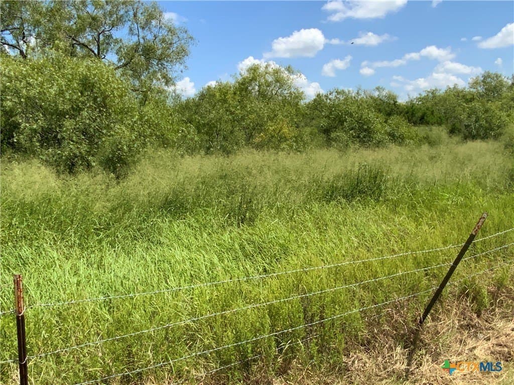 21 acres in San Patricio County - photo 4