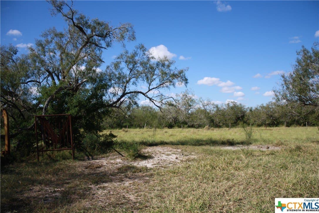 21 acres in San Patricio County - photo 12