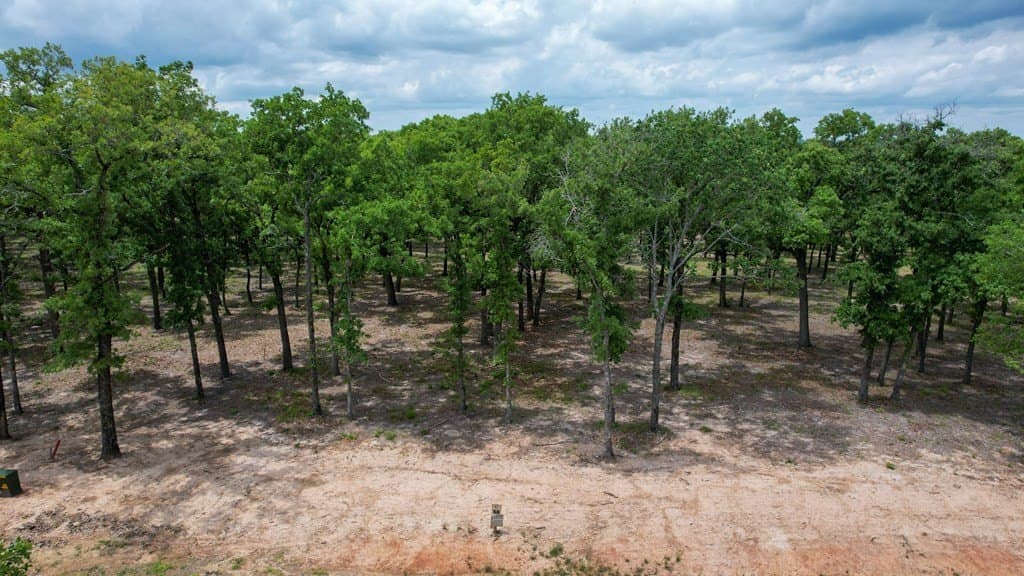 4.03 acres in Henderson County - photo 3