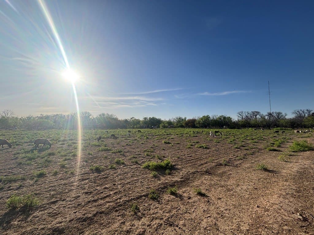 479,160 acres in Maverick County - photo 28