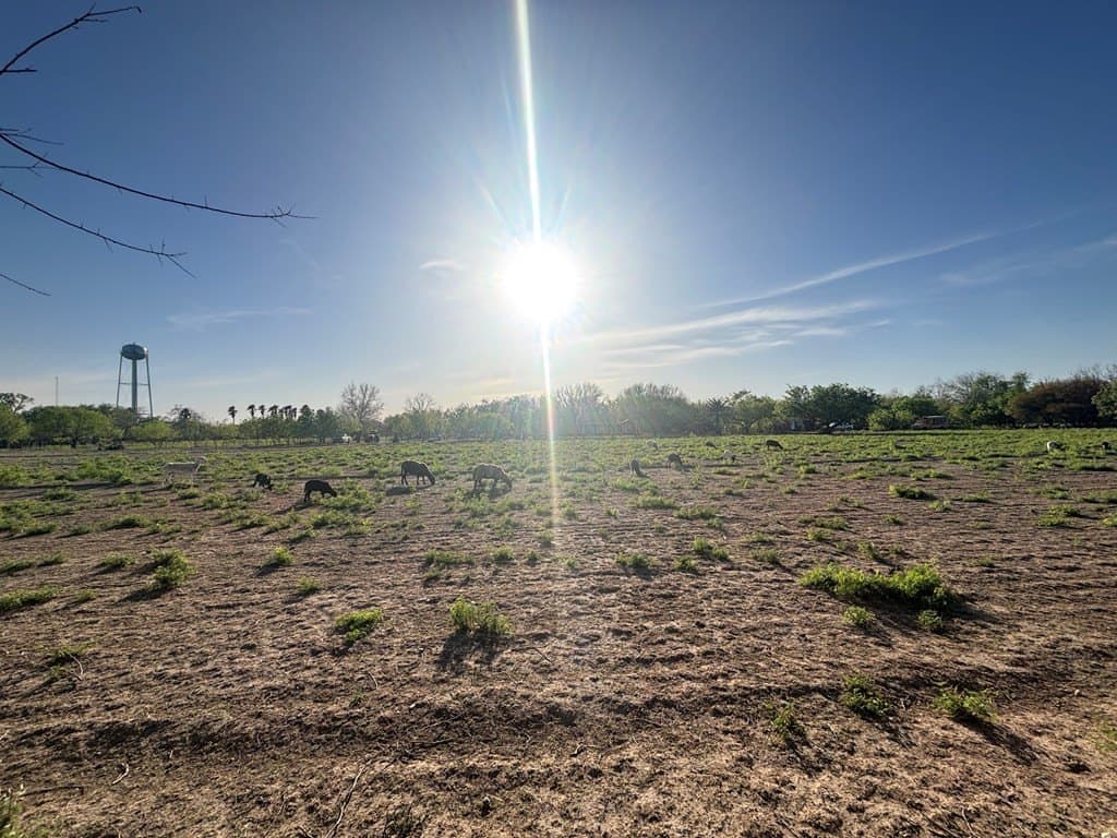 479,160 acres in Maverick County - photo 27