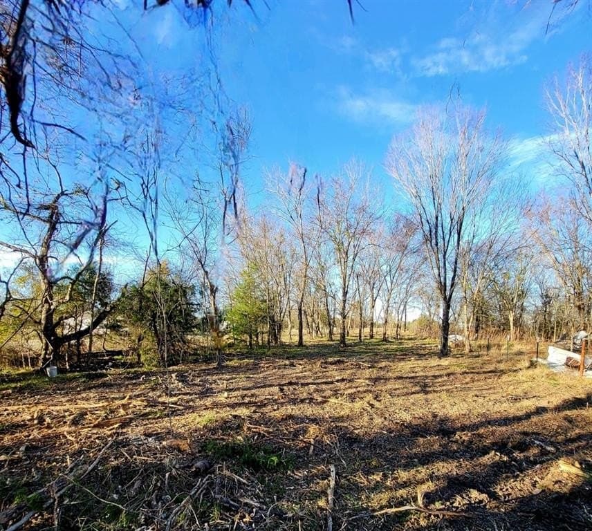 1.24 acres in Van Zandt County - photo 6