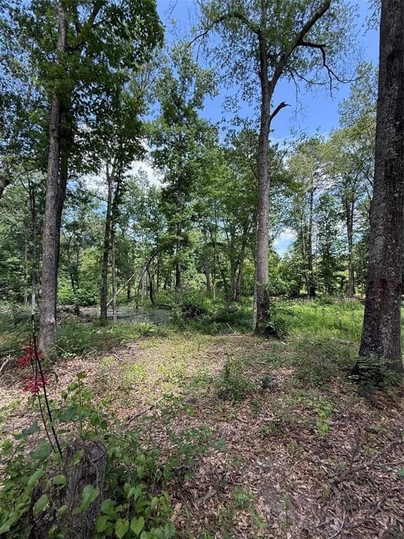 5.12 acres in Harrison County - photo 2