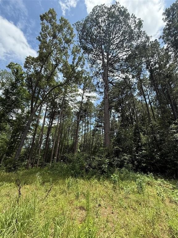 5.12 acres in Harrison County - photo 7