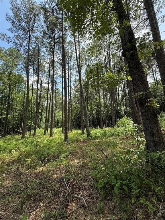5.12 acres in Harrison County - photo 4