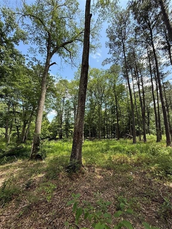 5.12 acres in Harrison County - photo 5