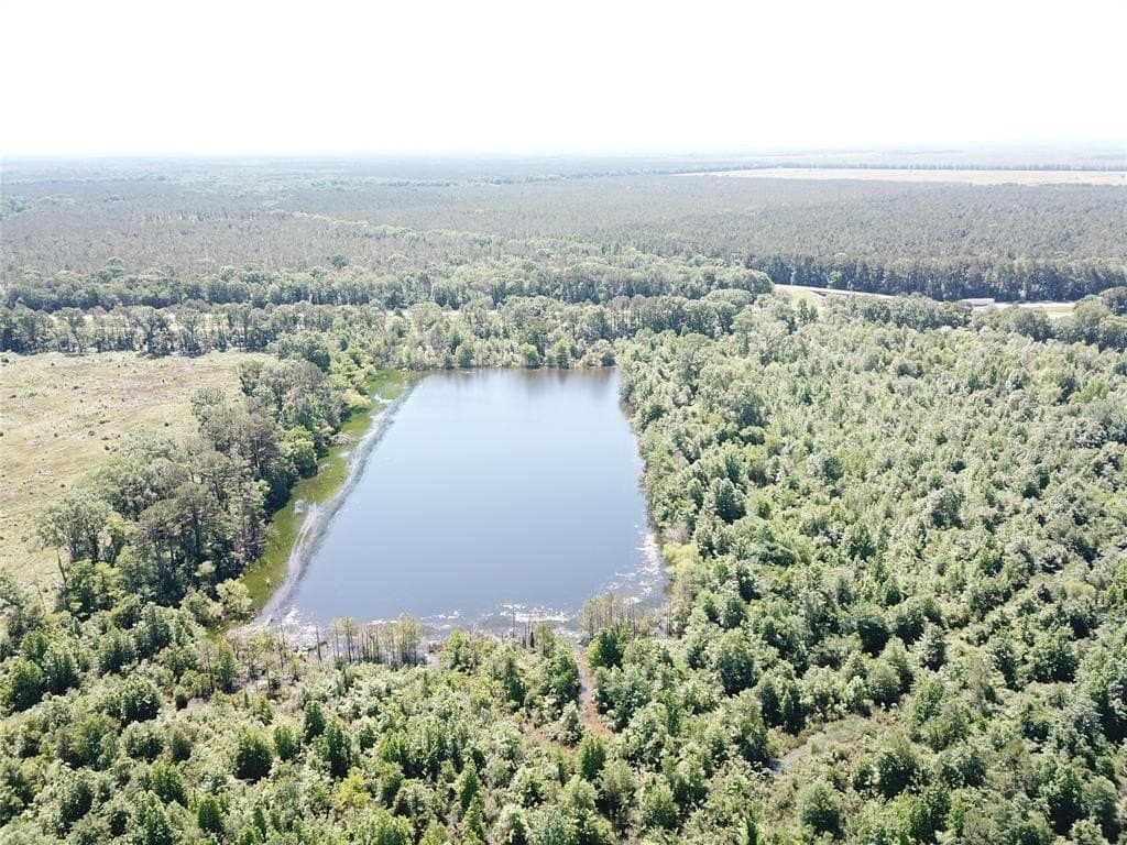 181.31 acres in Bowie County - photo 23