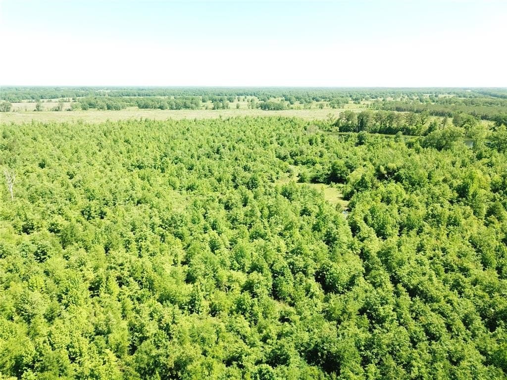 181.31 acres in Bowie County - photo 6