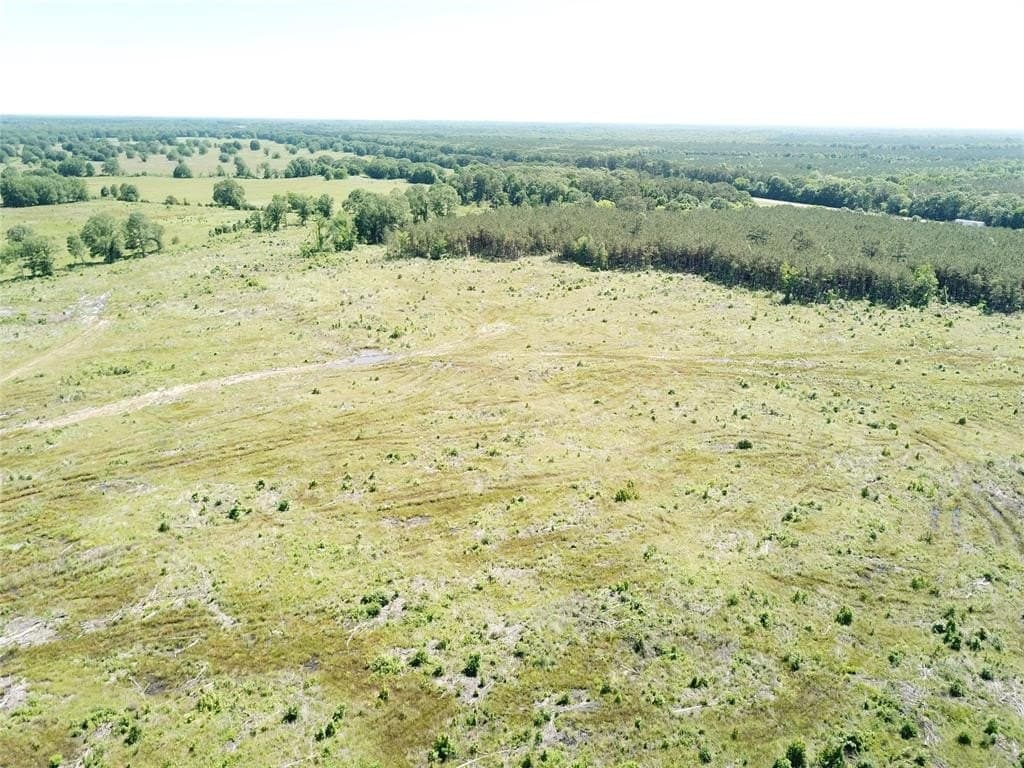 181.31 acres in Bowie County - photo 15