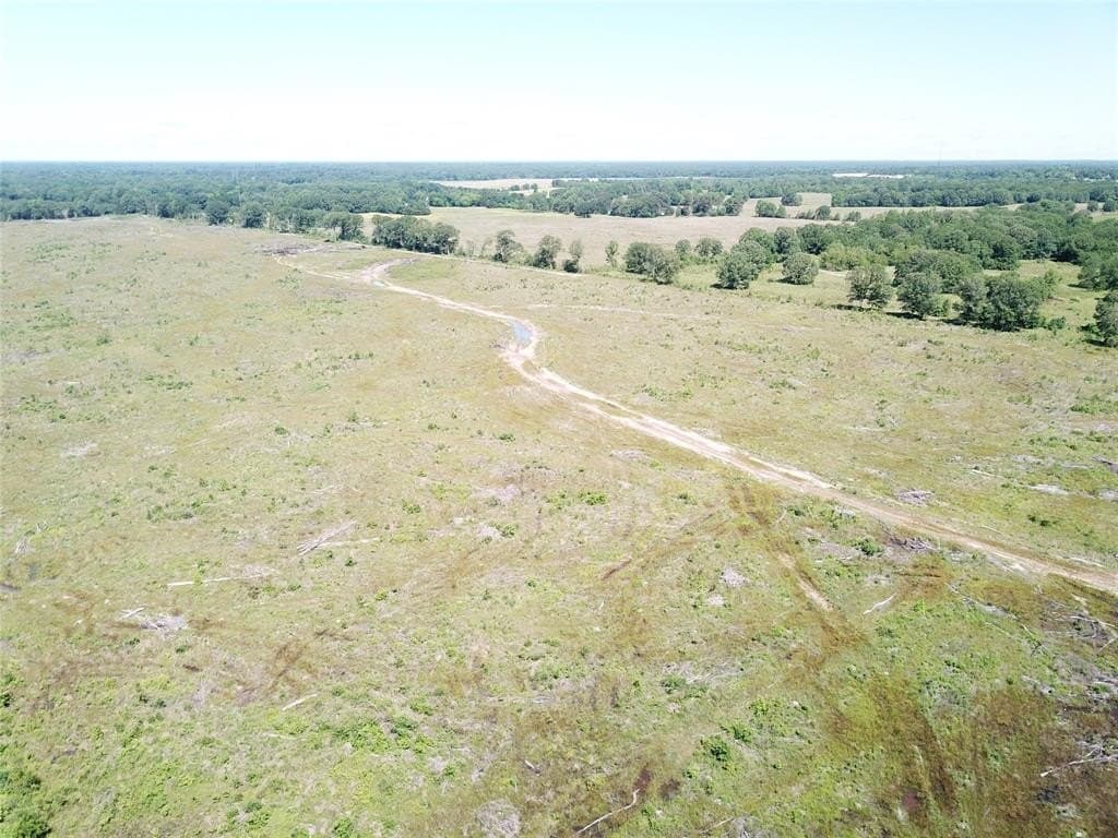 181.31 acres in Bowie County - photo 2