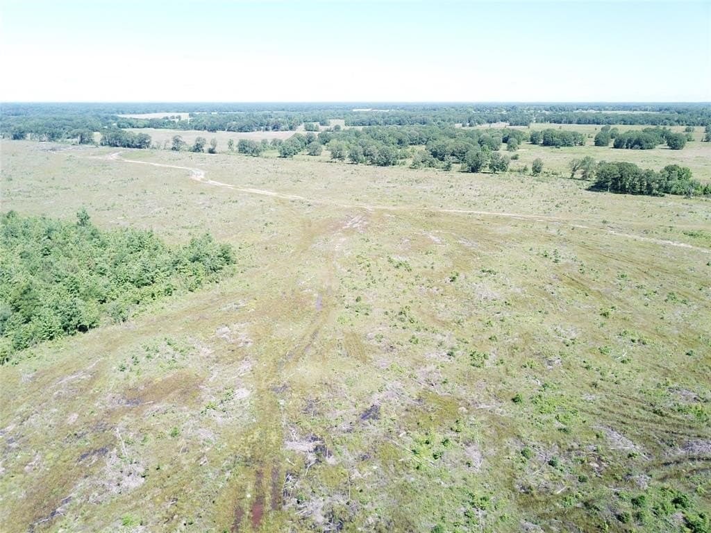 181.31 acres in Bowie County - photo 12