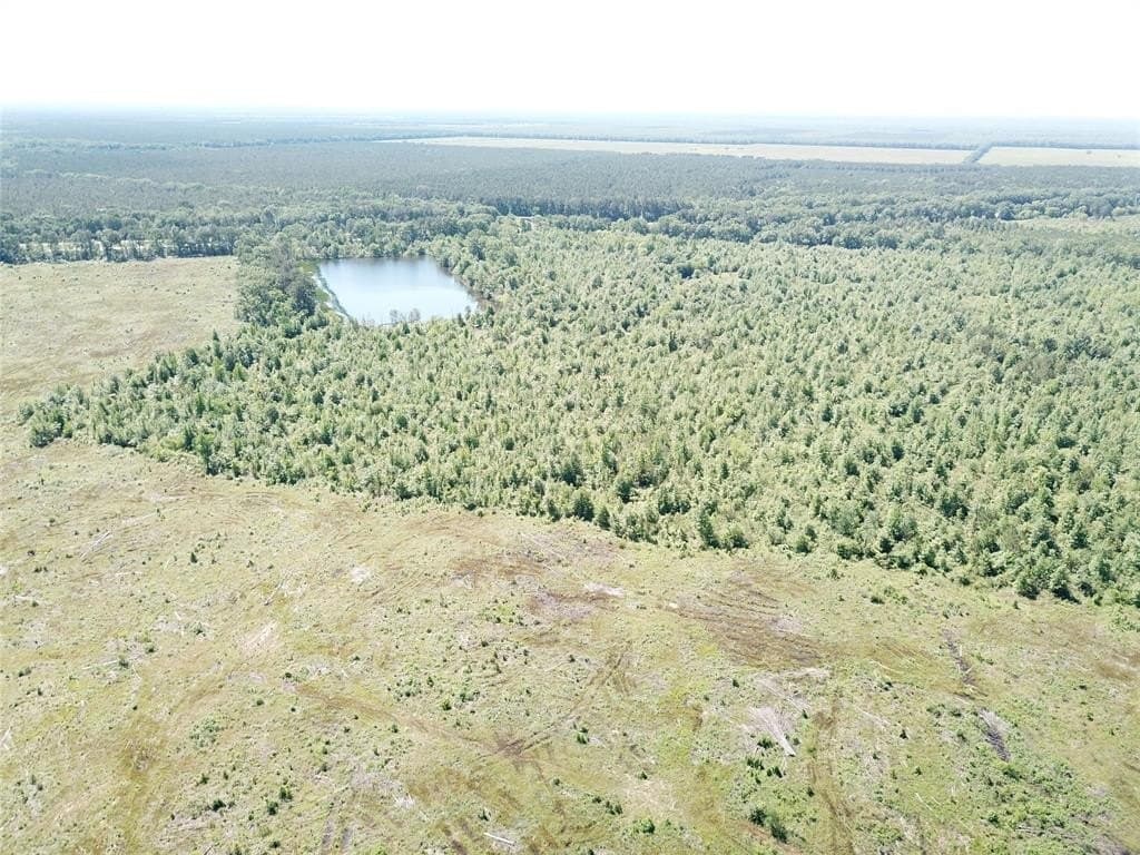 181.31 acres in Bowie County - photo 4