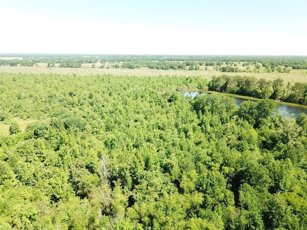 181.31 acres in Bowie County - photo 8