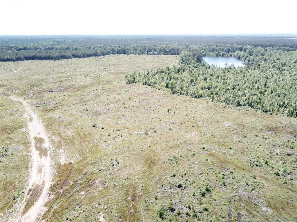 181.31 acres in Bowie County - photo 18