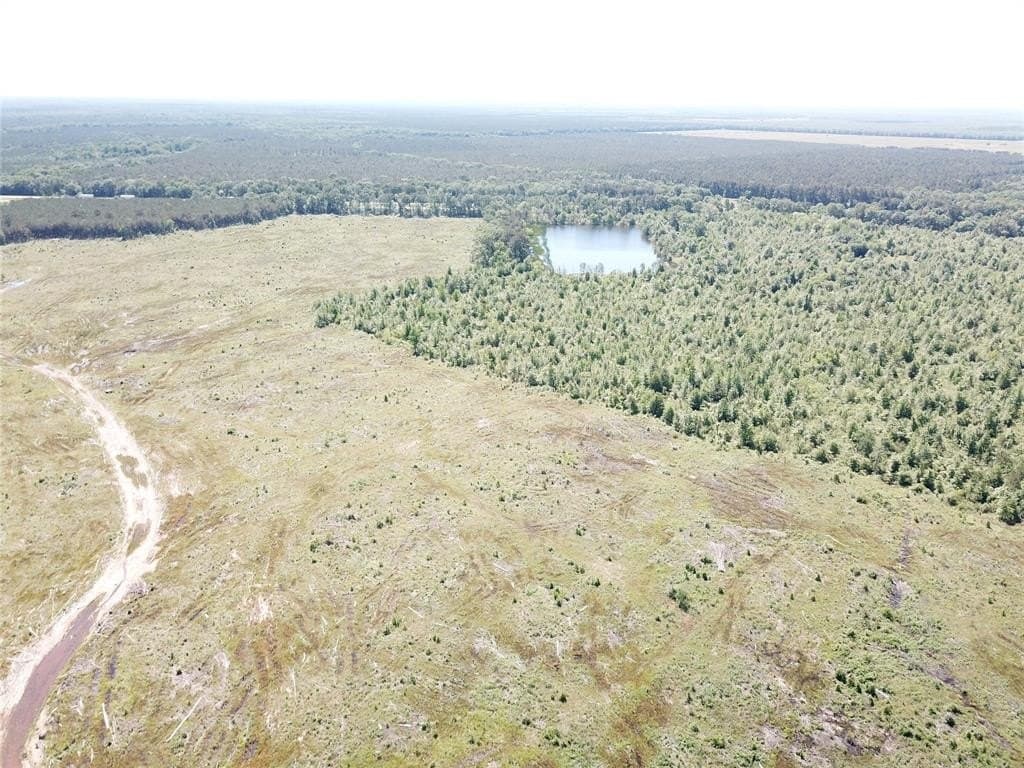 181.31 acres in Bowie County - photo 21