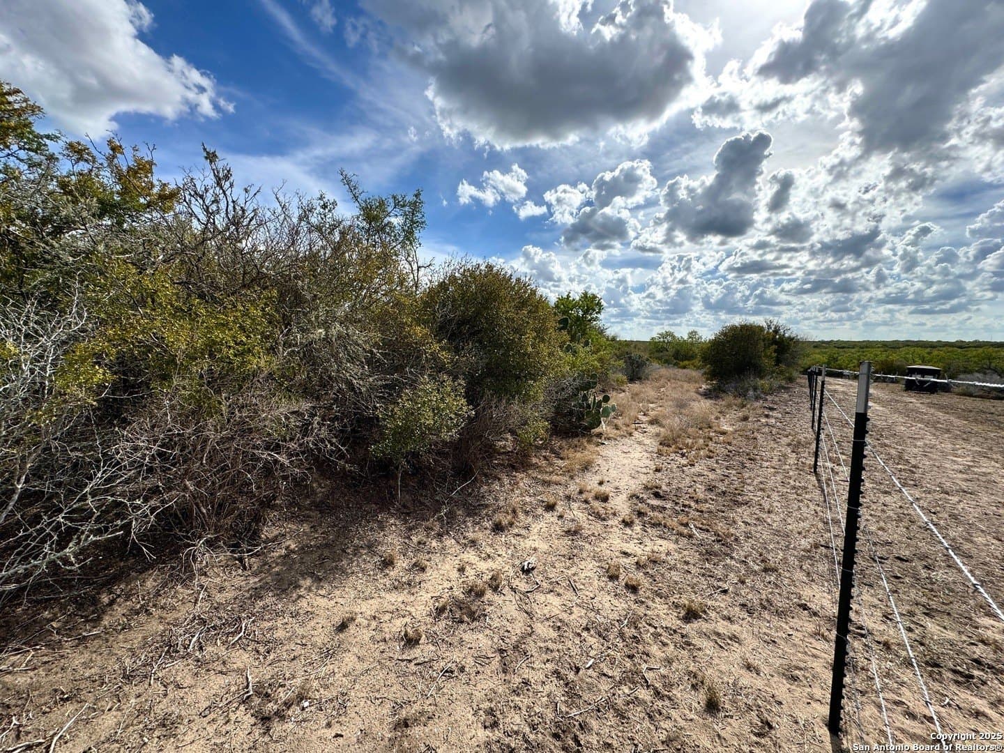 14.27 acres in Live Oak County - photo 7