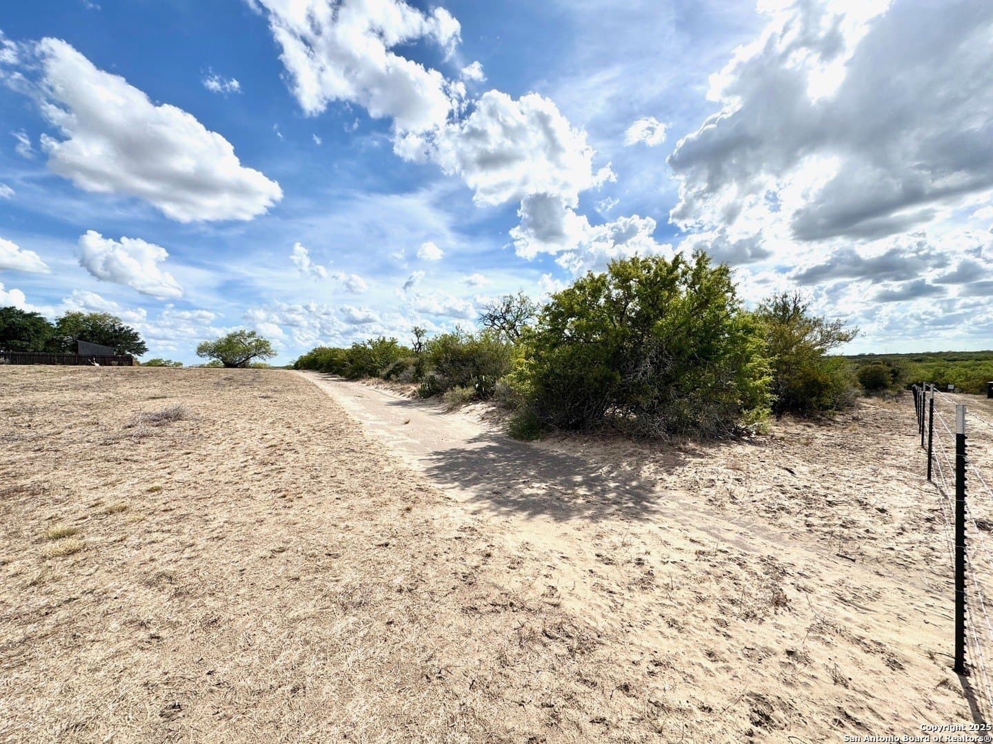 14.27 acres in Live Oak County - photo 4