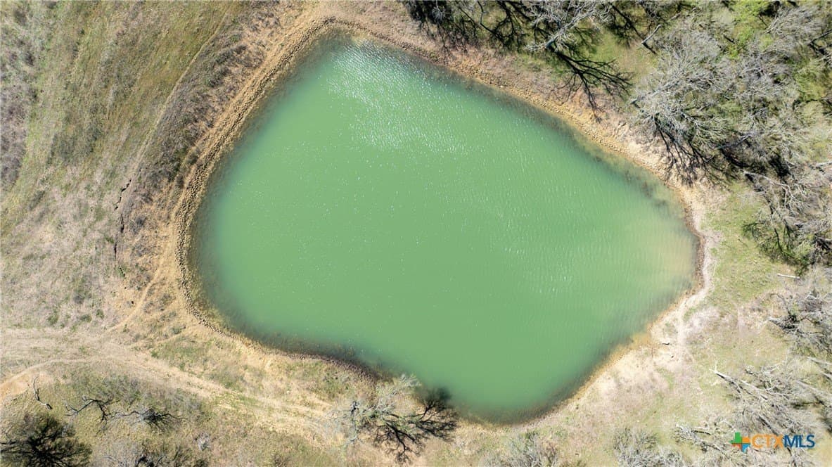 110.7 acres in Milam County - photo 4